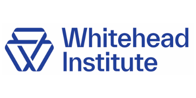 Whitehead